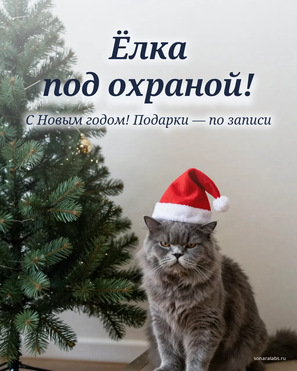 Смешная новогодняя открытка: серый кот в колпаке Деда Мороза у ёлки