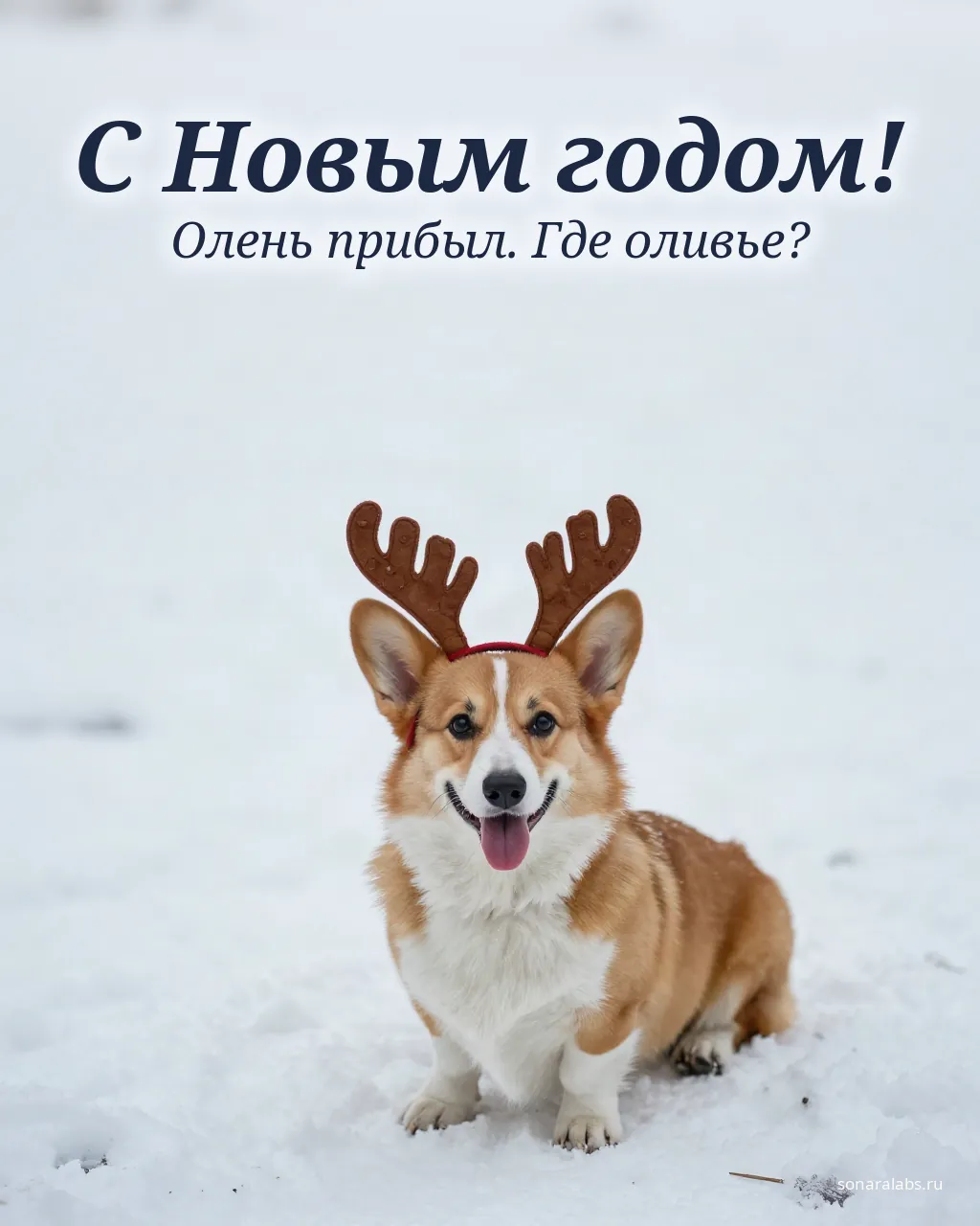 Прикольная открытка с Новым годом: корги с оленьими рожками на снегу